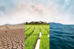 Marche du siècle pour le climat ce samedi 16 mars