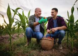 Un agriculteur peut-il céder son bail à son fils ?