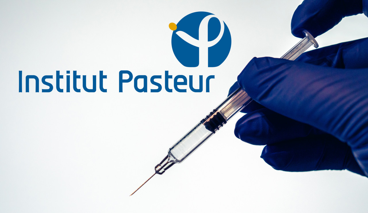 Covid-19 : pourquoi l’Institut Pasteur abandonne-t-il son principal projet de vaccin ?
