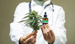 Qu'est-ce que le cannabis thérapeutique expérimenté en France ?