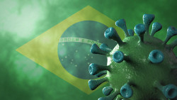 Covid-19 : ce que l’on sait et ce que l’on ignore sur le variant brésilien