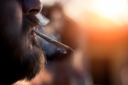 Les fumeurs de cannabis bientôt sanctionnés d’une amende de 150 € à 200 €