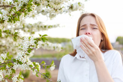 Tout ce qu’il faut savoir sur l’allergie aux pollens