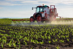 Pesticides : les taux de traitements phytosanitaires dévoilés par la carte Adonis