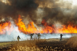 Incendies : quelles aides pour les sinistrés ?