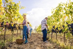 Les salariés saisonniers sont prioritaires pour retrouver leur poste en début de saison