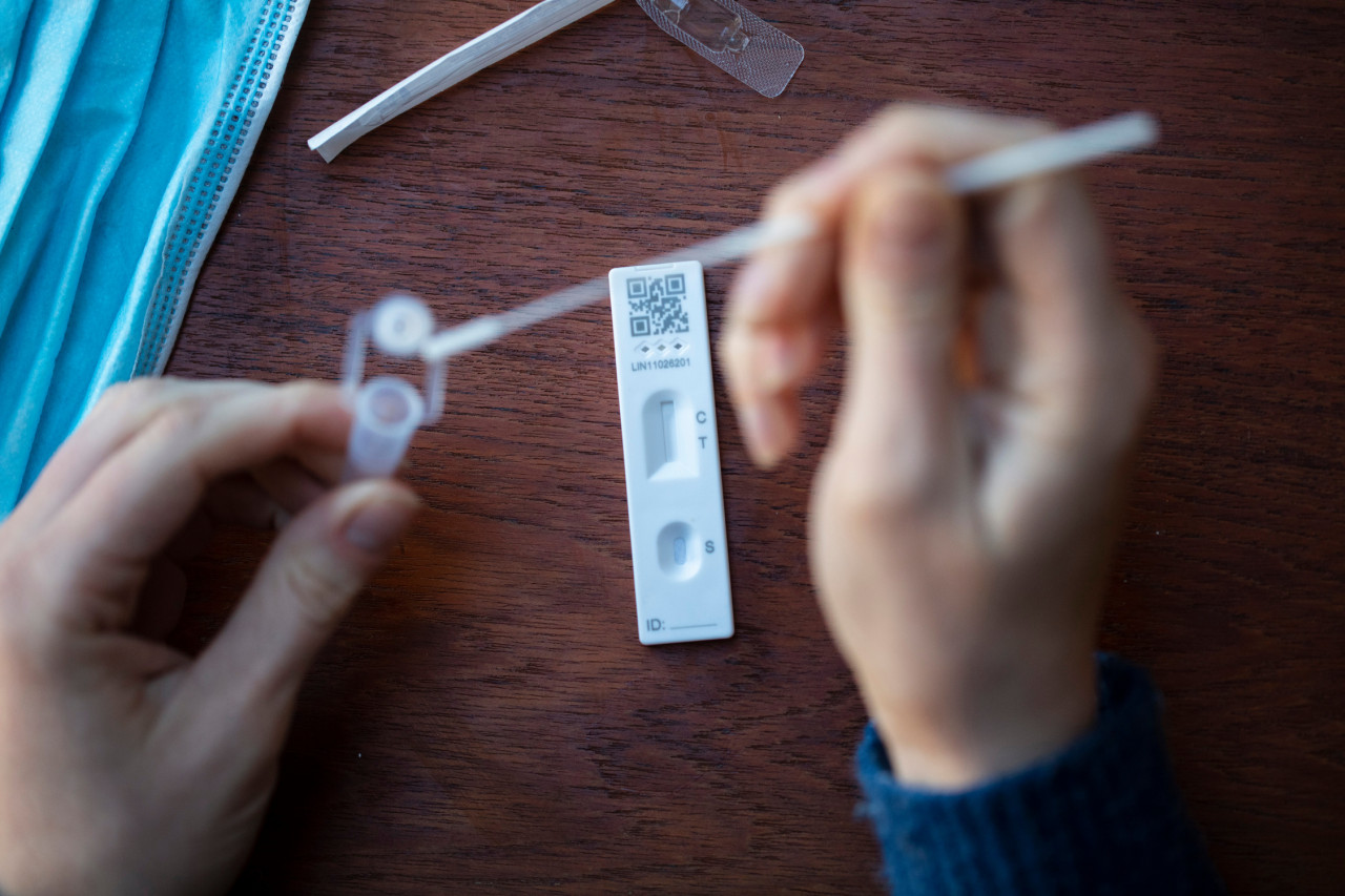 PCR, antigénique, autotest : quel test réaliser avant les fêtes ?