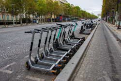 Trottinettes électriques à Paris : un vote citoyen en avril