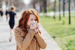 Allergie aux pollens : quels sont les départements en alerte ?
