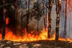 Incendies : bientôt une carte pour alerter sur les risques