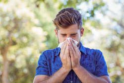Allergies aux graminées : presque tous les départements en alerte rouge aux pollens