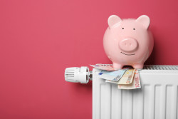 Chèque énergie : qui a droit à une nouvelle aide de 250 € ?