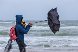 Tempête Ciaran : quels départements devraient être touchés ?