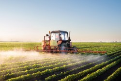 Victime des pesticides : la création d’un fonds d’indemnisation financé par les fabricants à l’étude