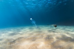 Pollution plastique en Méditerranée, le WWF tire la sonnette d’alarme et propose des solutions