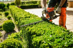 Impôts 2026 : comment déclarer les travaux de jardin ?