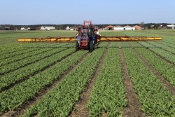 Pesticides : création d’un fonds d’indemnisation des victimes des produits phytosanitaires