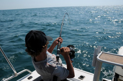 Pratiquer la pêche de loisir en mer : les règles à respecter