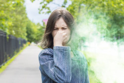 Faire cesser les nuisances olfactives dans le voisinage