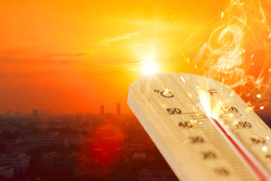 Quelle est la différence entre canicule et vague de chaleur ?