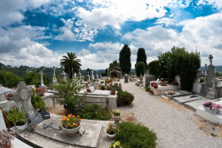 Concession funéraire et choix du cimetière