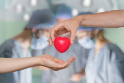 Don d’organes : demander une carte de donneur ou s’inscrire au registre des refus de dons